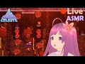 рџ ґ Live ASMR Inside The Mountain Celeste рџ ґ Live ASMR Inside The Mountain Celeste