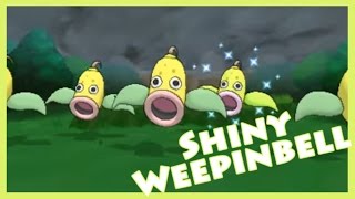 Horde Shiny Hunting - Weepinbell! Pokemon X [Twitch Highlight]