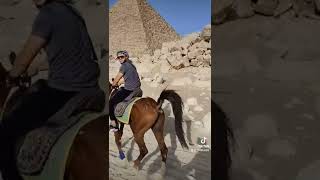 7000 years ago today #desert #egypt #pyramids #horsebackriding #history #years #makeyourday