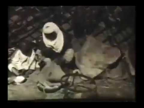 Дүние қазақтарының тұңғыш құрылтайы - 1992 жыл