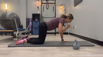 Quadruped Scapula/Shoulder Stabilization