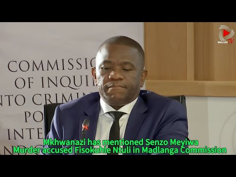 Mkhwanazi Continues To Testify Fisokuhle Ntuli Has Been Mentioned In Madlanga Commission 