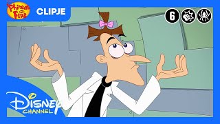 Phineas en Ferb | Dieren Wasstraat | Disney Channel België-Nederland