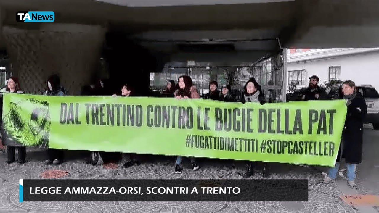 Legge ammazza-orsi, scontri tra animalisti e forze dell'ordine