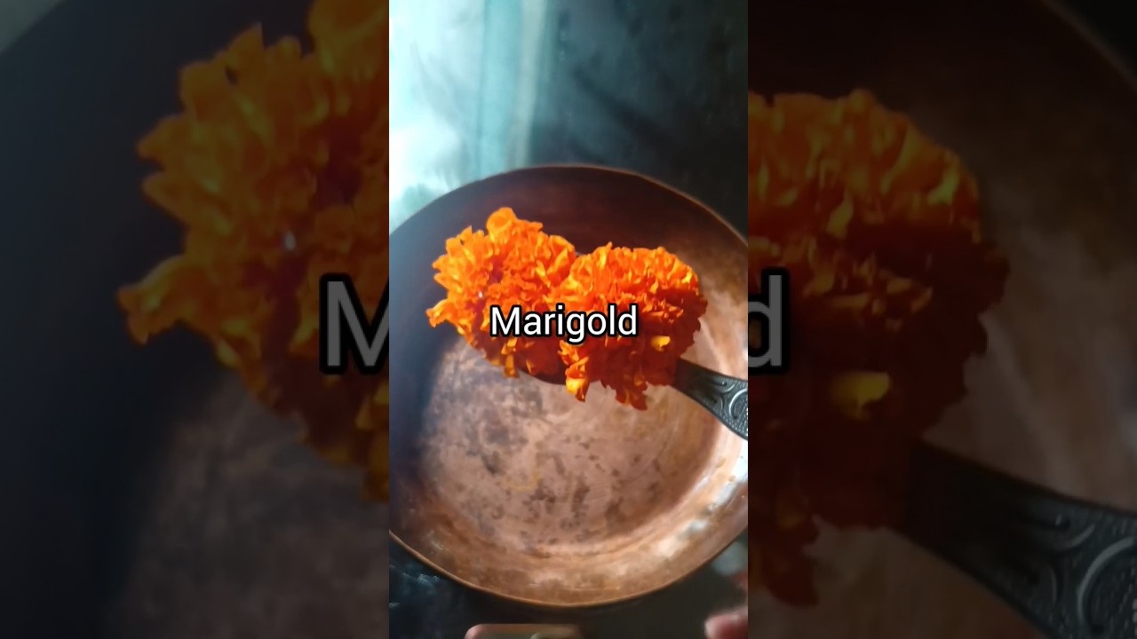 Marigold Brightening Face Pack 