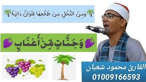 🌴وَمِنَ النَّخْلِ مِن طَلْعِهَا قِنْوَانٌ دَانِيَةٌ🌴| القارئ محمود شعبان