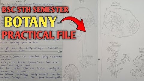 Bsc 5th Semester Botany Practical Exam File || Bsc walen Botany ki file kaise banaye 