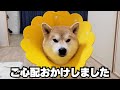 隠していた事…視聴者さんに言われたので答えます。