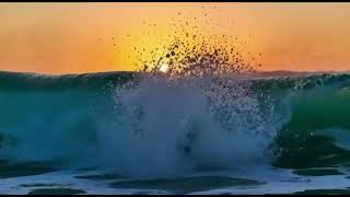 Oceanβs Heartbeat