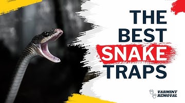 Top Snake Traps That Actually Work - Protect Your Home and Garden!
