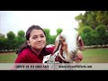 Watch Eid ul Azha Qurbani Package 2019 Form FRESH ONE , ARY Cattle Farm Online In HD