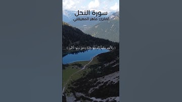 #quran سورة النحل