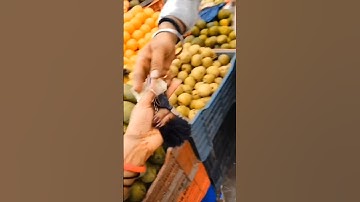 #minivlog #music thanks for watching videos ☺️ #subscribe my youtube channel #vlogger