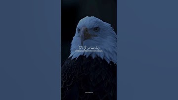 ٥ مايو ٢٠٢٤الشيخ ياسر الدوسري سورة لقمان #ياسر_الدوسري #القرآن_الكريم #القرآن #القران_الكريم