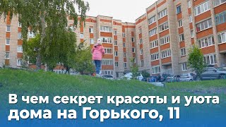 Когда в доме живут настоящие хозяева