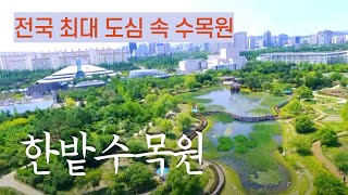 [한국의 수목원] 대전광역시에 위치한 전국 최대 도심 속 수목원, 한밭수목원