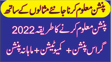 How to Calculate Pension Gratuity and Commutation of Government Employee - Part I