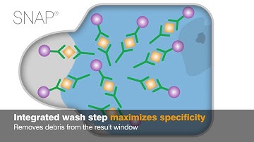 IDEXX SNAP Tests: Technology in Action