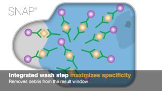 IDEXX SNAP Tests: Technology in Action