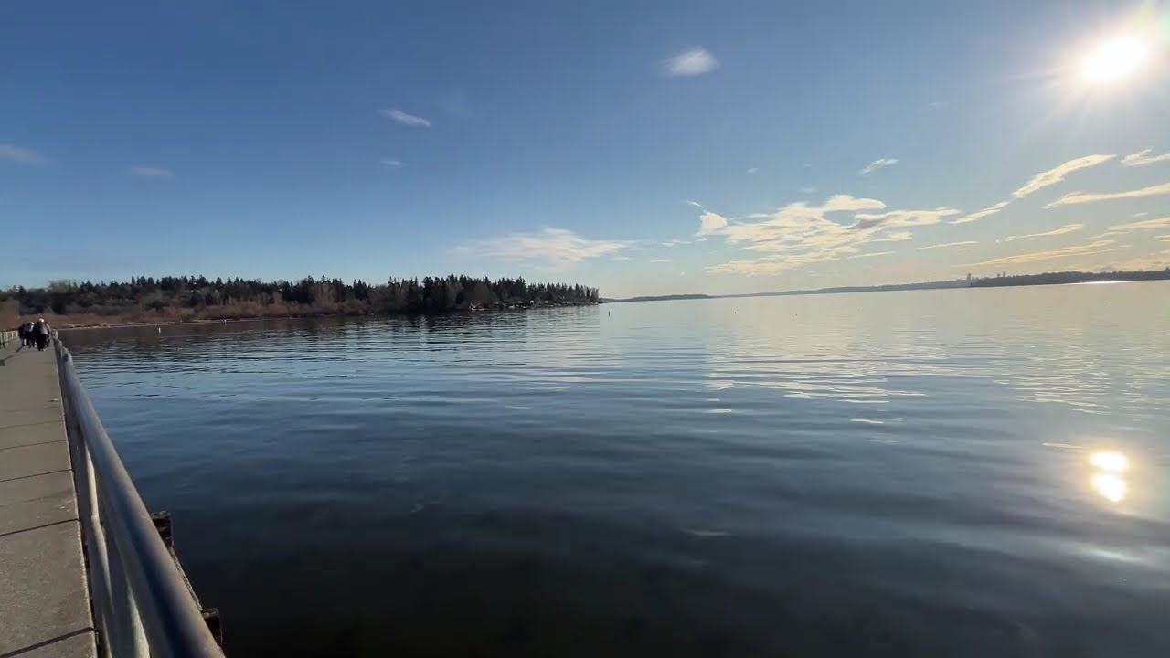 Pretty day walk on Lake Washington | natural sound, no music, Pacific Northwest sites