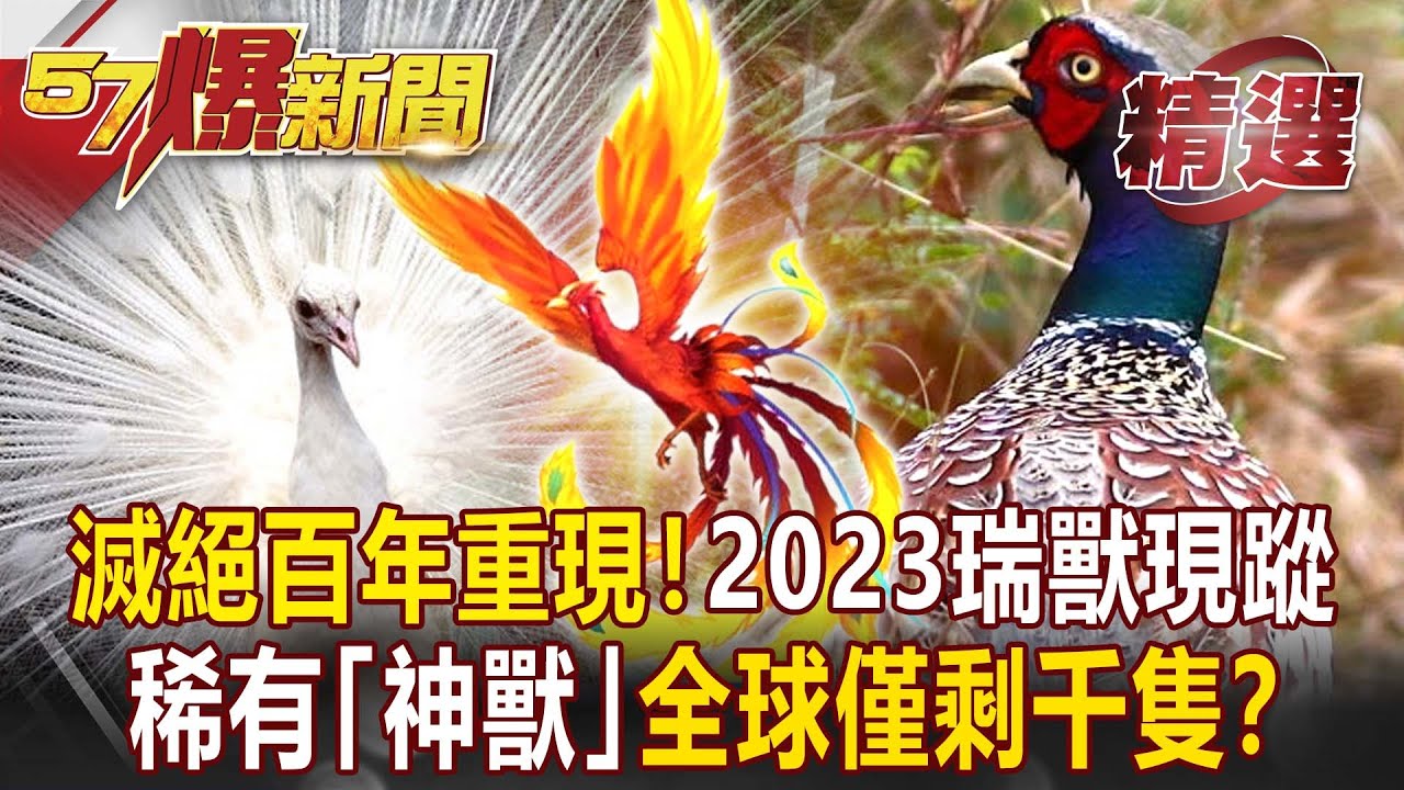 滅絕百年重現人間！2023瑞獸現蹤「否極泰來」…稀有「神獸」全球僅剩千隻？- 馬西屏【57爆新聞 精選】