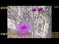 이다영 삶의인생_(가사첨부)