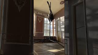 Чешки рулят  #poledance #polemen #polemoves #training