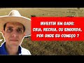 INVESTIR EM GADO: CRIA, RECRIA OU ENGORDA. POR ONDE COMEÇAR ? #1