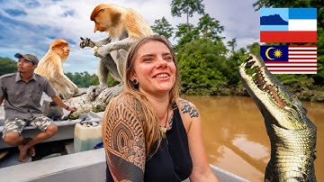 3-Day Borneo River Cruise Safari on the Kinabatangan River!