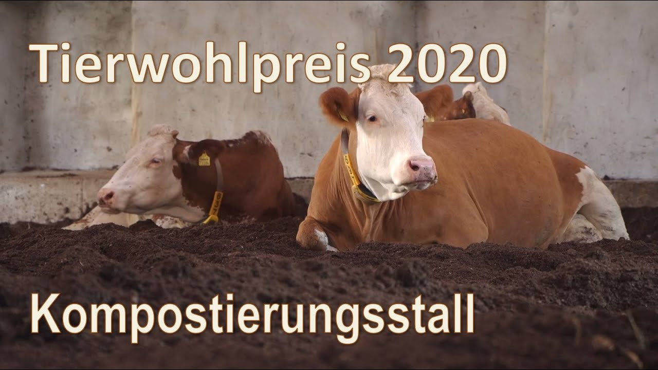 Moderner Milchviehlaufstall (Familie Hofer - Österreich)!
