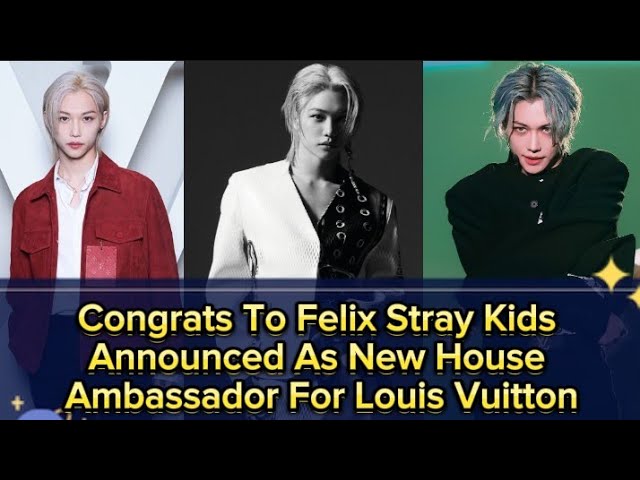 Stray Kids Felix Lee Louis Vuitton Brand Ambassador
