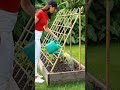 the amazing process of growing tomatoes - farming  - agriculture #shorts