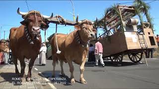 Romeria Ofrenda La Esperanza El Rosario Tenerife 07 08 2022
