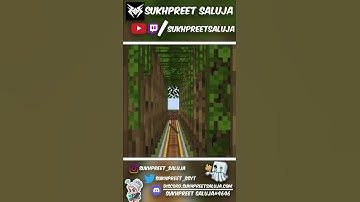 Perception of speed changes with the field of view! #Minecraft #SalujaArmy