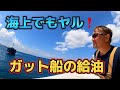 【ガット船の日常】【船乗り】航海途中のガット船の燃料補給!燃料以外も補給するよ?