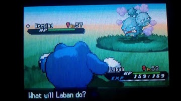 FAIL!! Shiny Weezing in Pokémon Black 2!