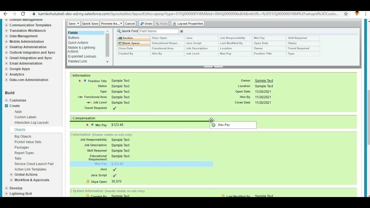 Page Layouts in Salesforce Presenting and Controlling fields position