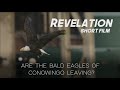"Revelation: Are the Bald Eagles of Conowingo Leaving? " (Short Film)