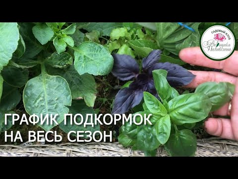 Как я составляю график подкормок сада и огорода на весь сезон