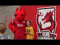 Match-day at Parc y Scarlets