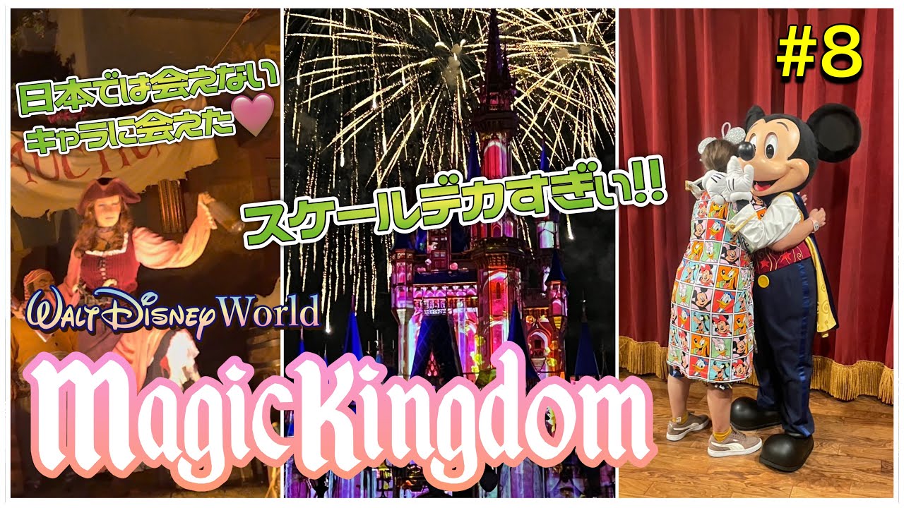 WDW】日本では会えないレアキャラに会えた♡夜のショーもスケールデカ
