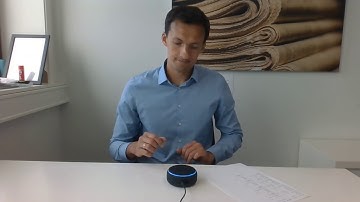 SKYBUFFER SAP AI Content Hands Free Progress Reporting