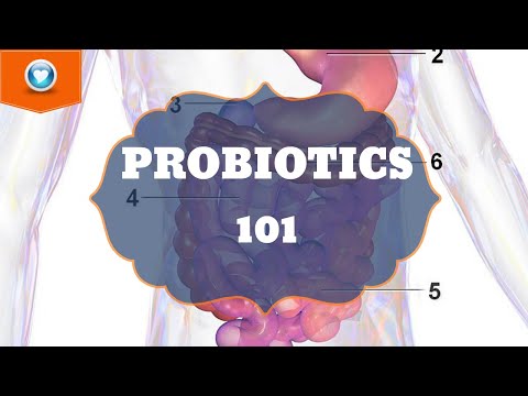 Probiotics 101: A Simple Beginner&rsquo;s Guide | Probióticos 101: Um guia simples para iniciantes!