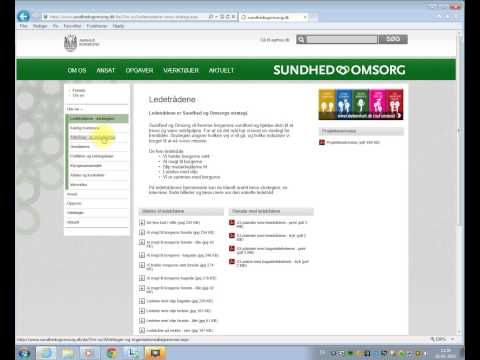 Guide til sundhedogomssorg.dk