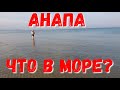 #АНАПА - 6.15 УТРА - ОНИ ПРИЕХАЛИ!!! 18.07.19