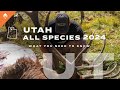 How to go hunting in utah  all species