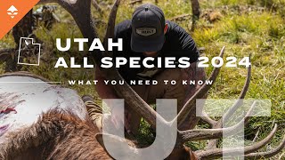 How to Go Hunting in Utah | All Species by GOHUNT 3,623 views 2 weeks ago 12 minutes, 26 seconds