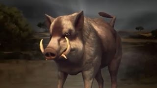 DEER HUNTER 2016 : Walkthrough Gameplay #6 The Hogger of Taxas