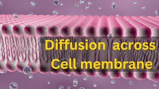 What is diffusion class 9, Transport across cell membrane: Diffusion,Diffusion process with examples