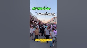 Tham quan chợ cá cảnh ở Thiên Tân Trung Quốc - Nuôi cá dưỡng tâm